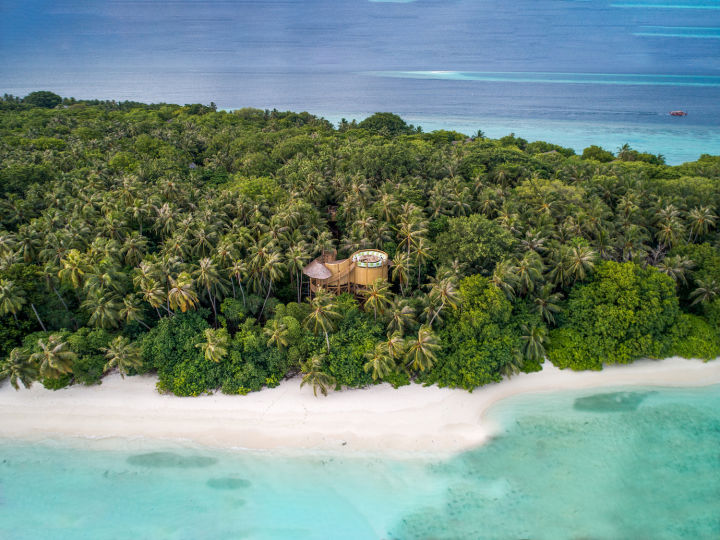 You can actually ZIPLINE into this treetop Maldives restaurant